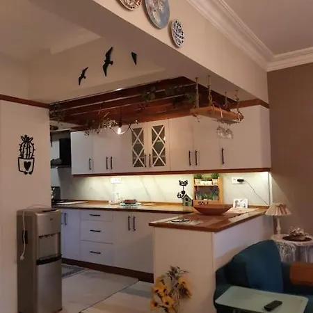 Bohem Tarzinda Villaniz Sizi Bekliyor Villa *